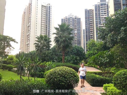 探索傳統中介整租 非自如、非蛋殼的租房之路